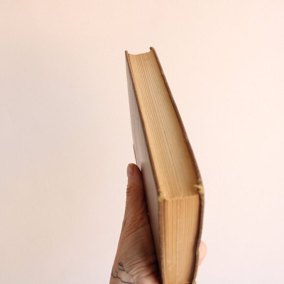 Vintage 1920s Book, Will Rogers Letters Of a Self Made Diplomat to His President - Picture 9 of 10